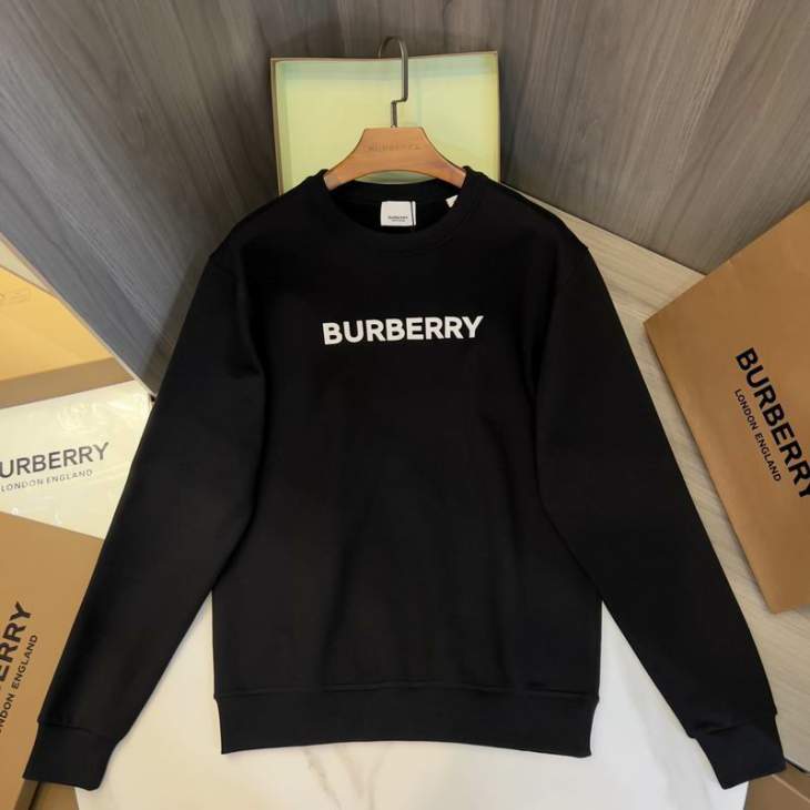 Picture of Burberry Sweatshirt _SKUBurberryS-2XLaztx875331005